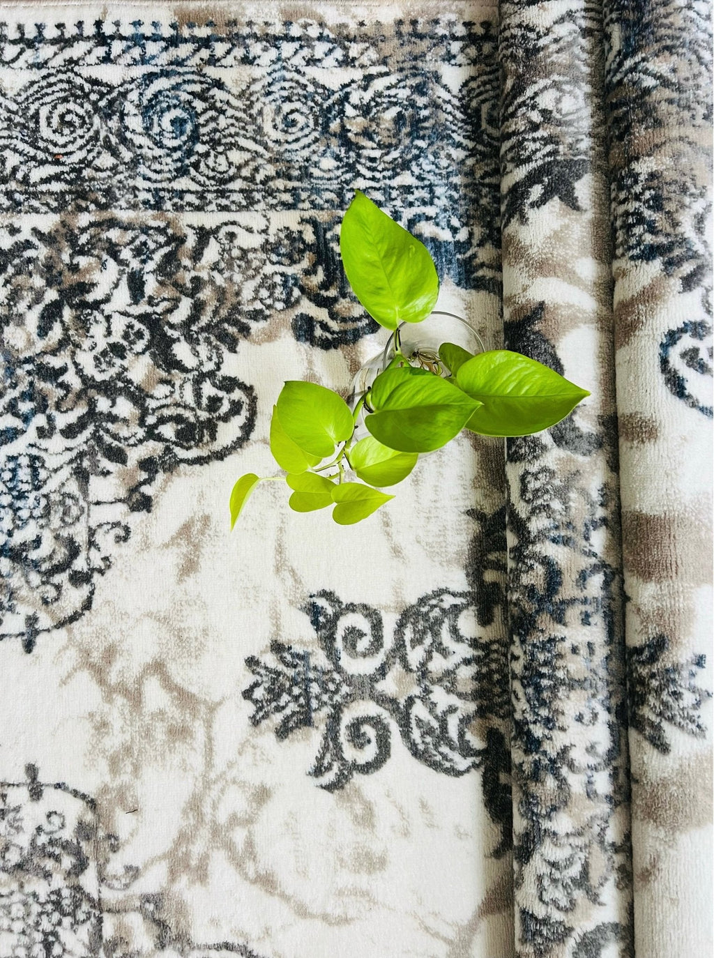 Canvello Area Rugs Premium Rugs for Living Room, Bedroom, Home Dining, Ivory, Grey, Beige-2